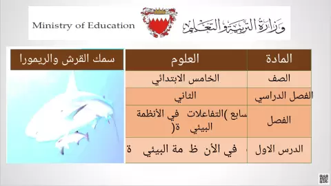 العلاقات في الأنظمة البيئية