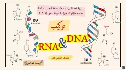 تركيب DNA و RNA
