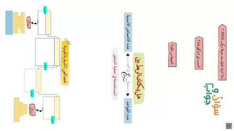 سؤال وجواب حول تضاعف DNA