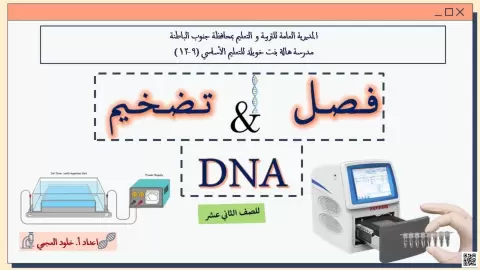 الوحدة الثالثة: ورقة عمل فصل وتضخيم DNA