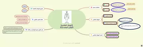 خريطة ذهنية توضيحية حول الهيكل العظمي